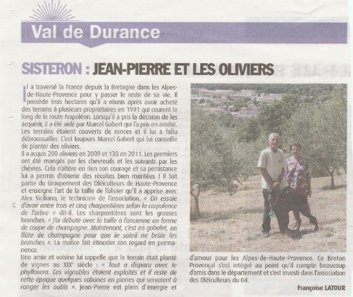 Jean-Pierre et les oliviers.jpg